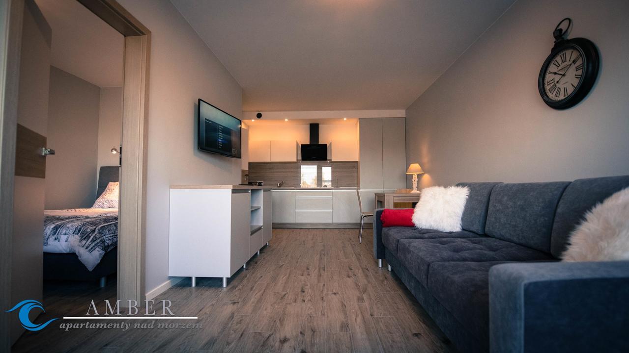 דארלובקו Amber Apartamenty מראה חיצוני תמונה